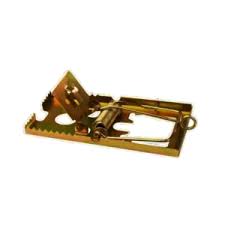 TRAMPA PARA RATON GRANDE